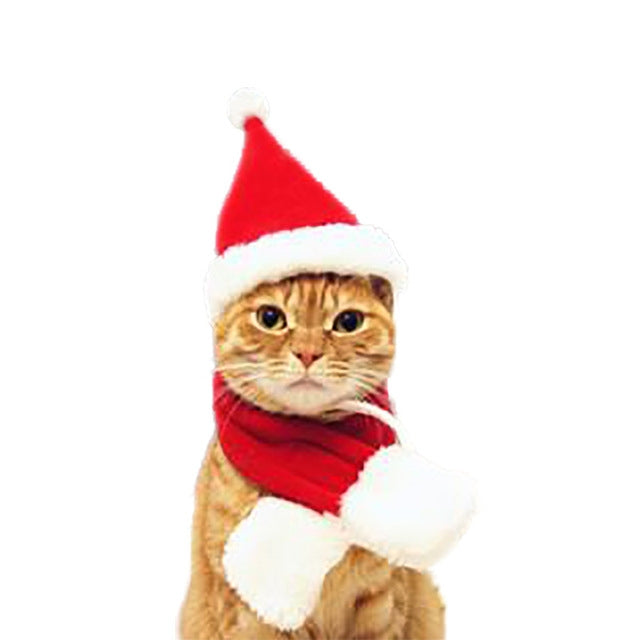 Cat Dog Christmas Hat Around Christmas Clothes Accessories, Size:S