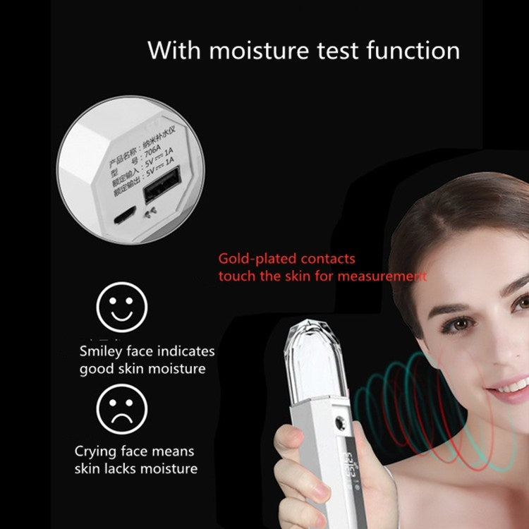 TL701B Nano Spray Water Hydration Instrument Alcohol Disinfection Sprayer Cold Humidifier Steam Face Instrument