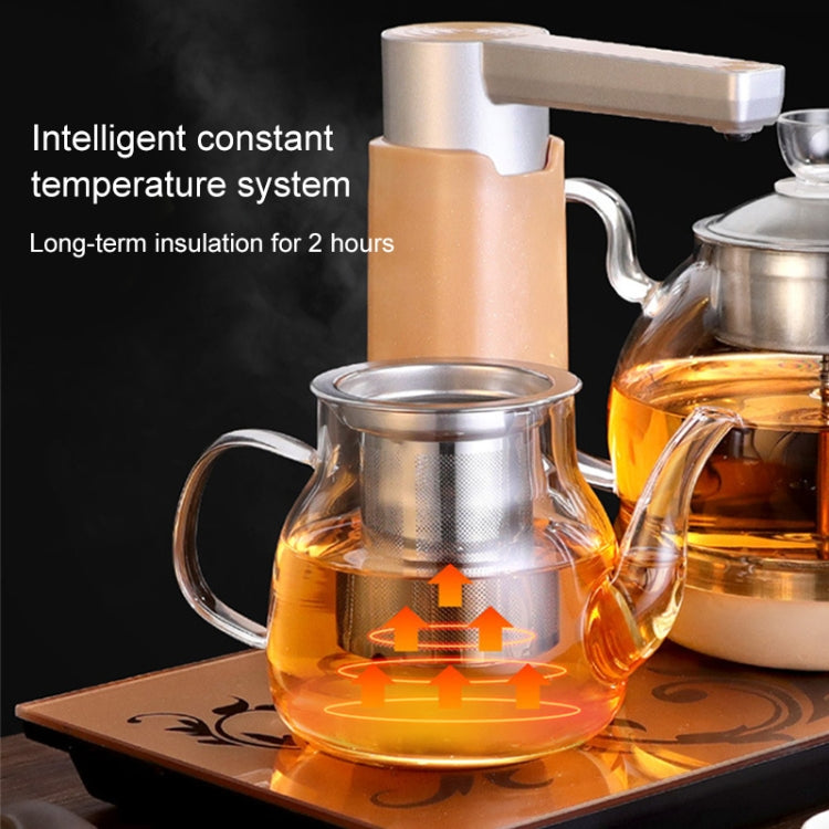 Automatic Steam Boiled Tea Black Tea Special Household Glass Spray Electric Tea Stove