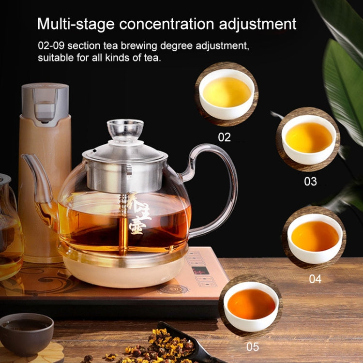 Automatic Steam Boiled Tea Black Tea Special Household Glass Spray Electric Tea Stove