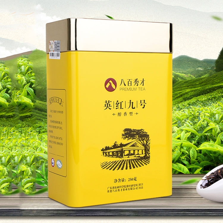 Canned Series Yinghong Number 9 Mellow Aroma Tea-leaves, Net Content: 250g