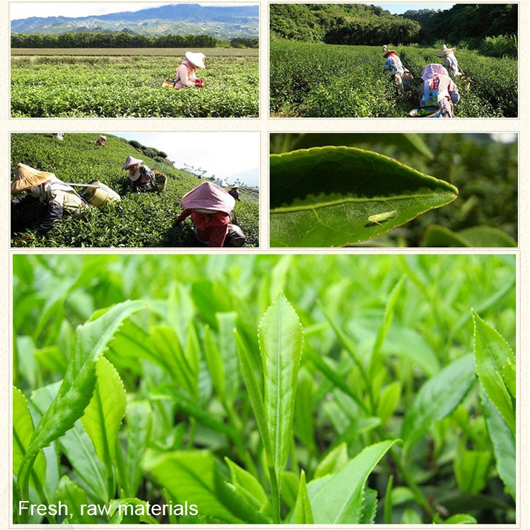 Canned Series Yinghong Number 9 Mellow Aroma Tea-leaves, Net Content: 250g