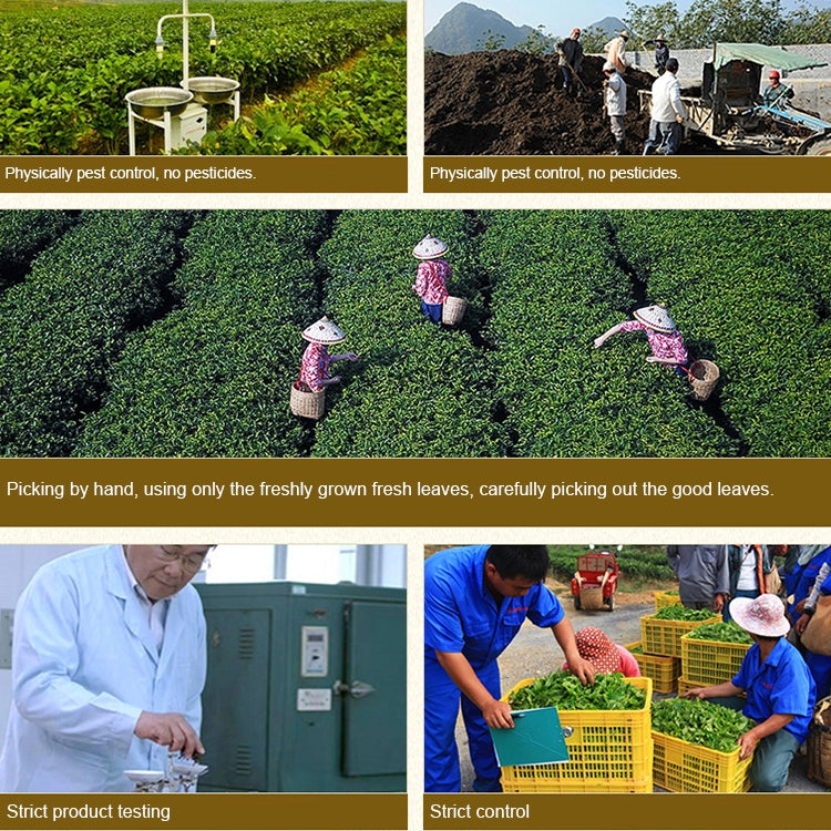 Canned Series Yinghong Number 9 Mellow Aroma Tea-leaves, Net Content: 250g