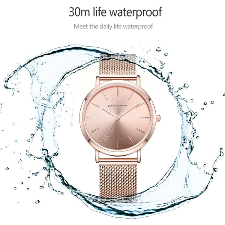 1650 JIAYUYAN Fashion & Simple Quartz Wrist Watch with Stainless Steel Strap/Band and Alloy Case  Watch For Women
