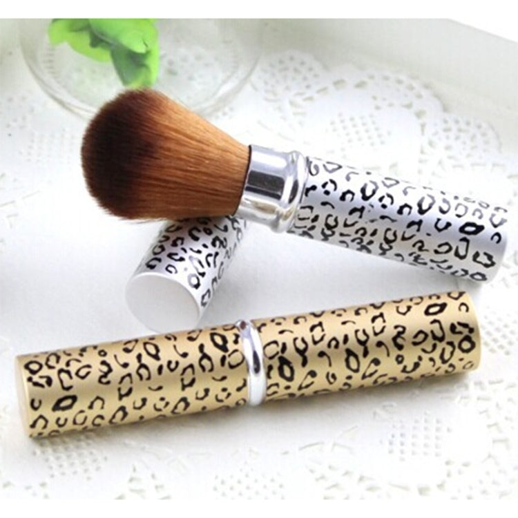 2 Pack Telescopic Brushes Random Color Delivery