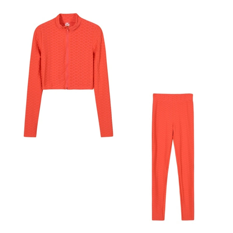 2 in 1 Spring Autumn Net Pattern Solid Color Zipper Long-sleeved Shirt + Trousers Suit for Ladies