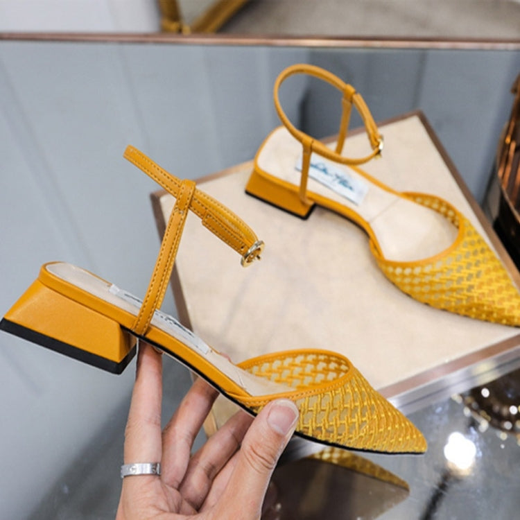 Fashion Thick Low Heel Woven Mesh Pointed Head Breathable Sandals for Women