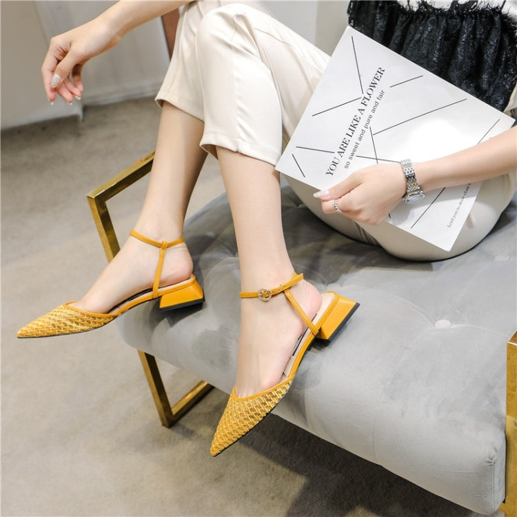 Fashion Thick Low Heel Woven Mesh Pointed Head Breathable Sandals for Women