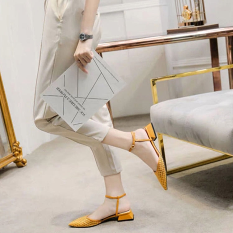 Fashion Thick Low Heel Woven Mesh Pointed Head Breathable Sandals for Women