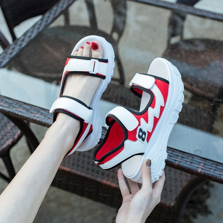Fashion Trend Thick-soled Open Toe Sandals for Women