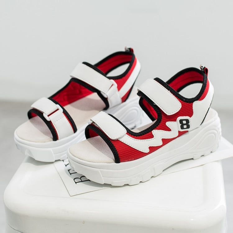 Fashion Trend Thick-soled Open Toe Sandals for Women