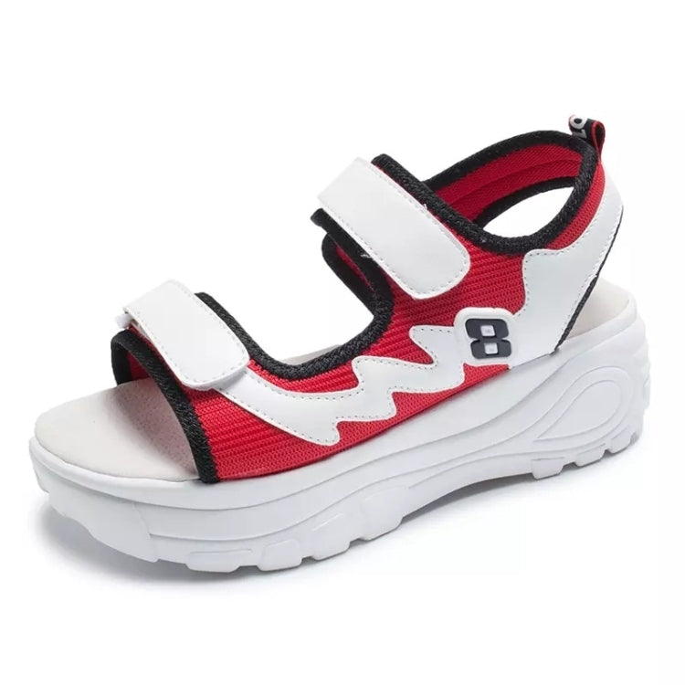 Fashion Trend Thick-soled Open Toe Sandals for Women