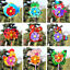 Plastic Wind Spinner Windmill Cute Cartoon Animals Kids Outdoor Toys lxJC.l8