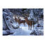 Snow Deers Elk 5D Diamond DIY Painting Craft Kit Home Decor @