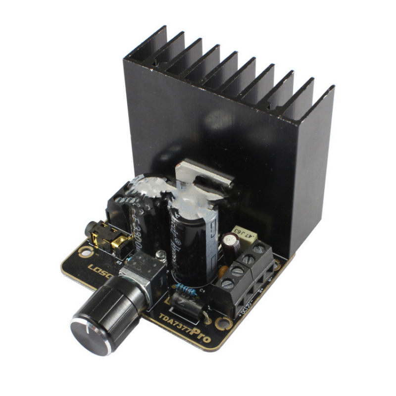 12V Car Power Amplifier Module Dual Channel Digital Power Amplifier Board