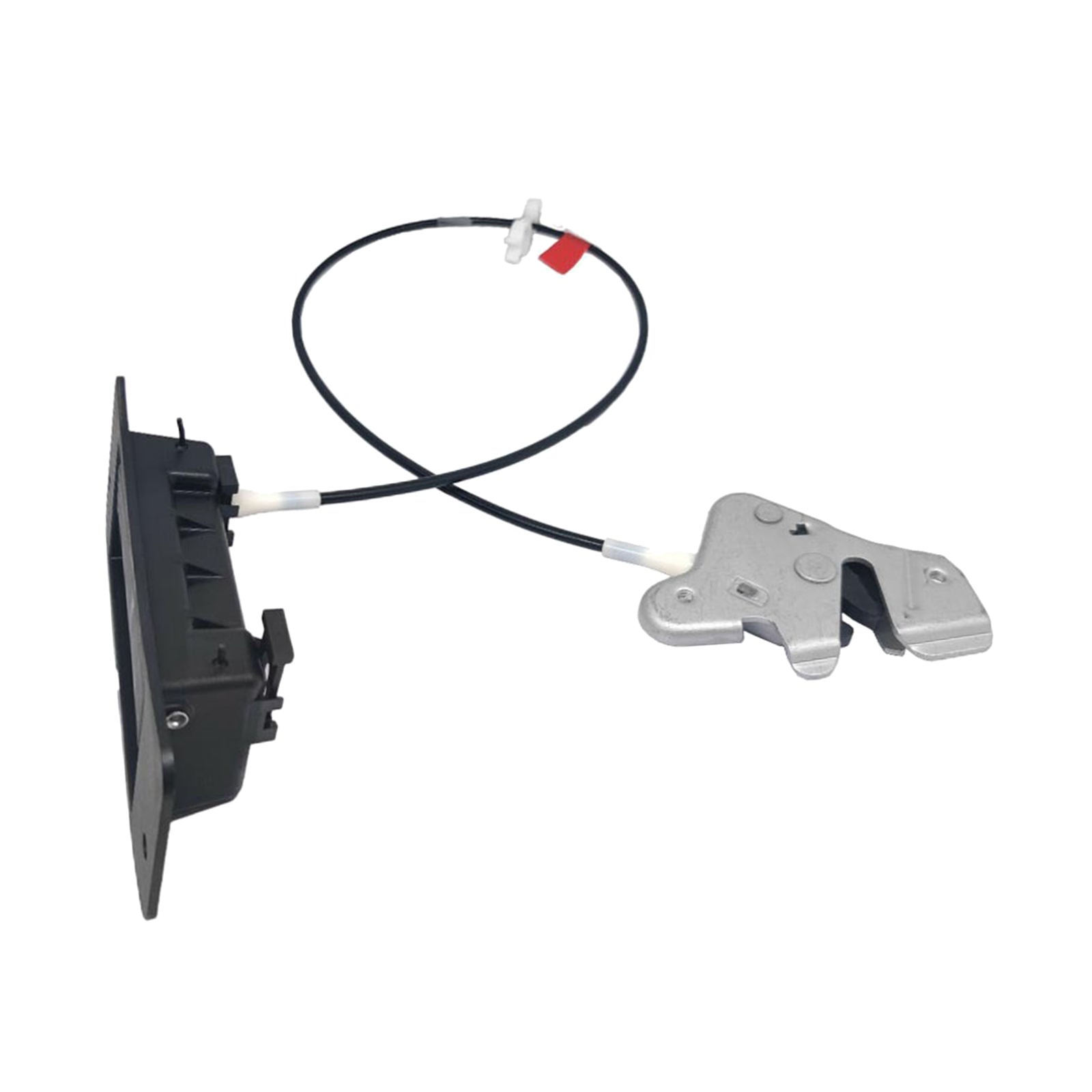 Hinged Rear Door Latch with Handle Compatible with Ford E150 E250 E350