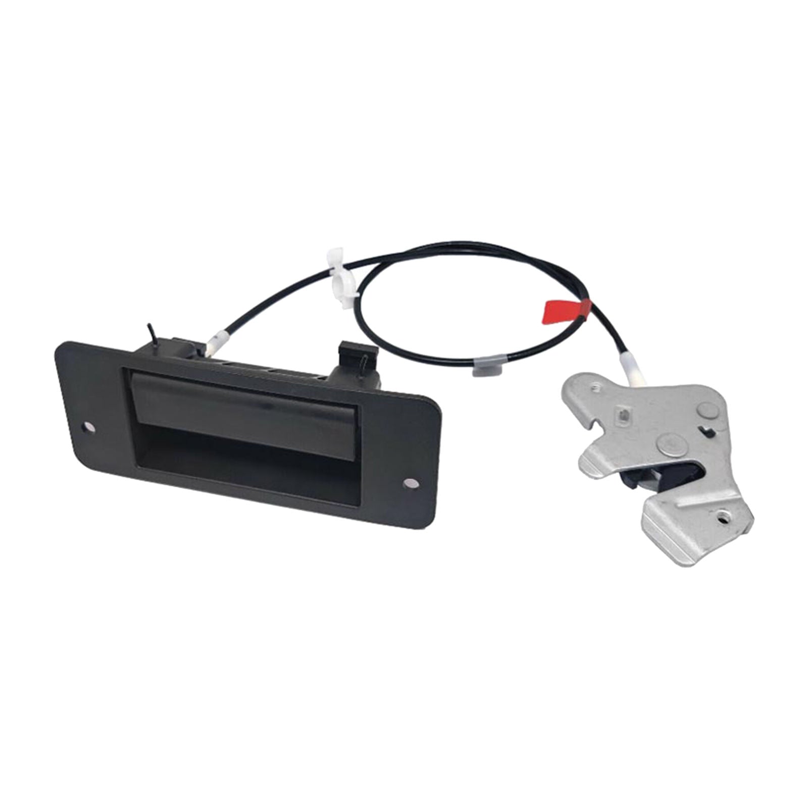 Hinged Rear Door Latch with Handle Compatible with Ford E150 E250 E350