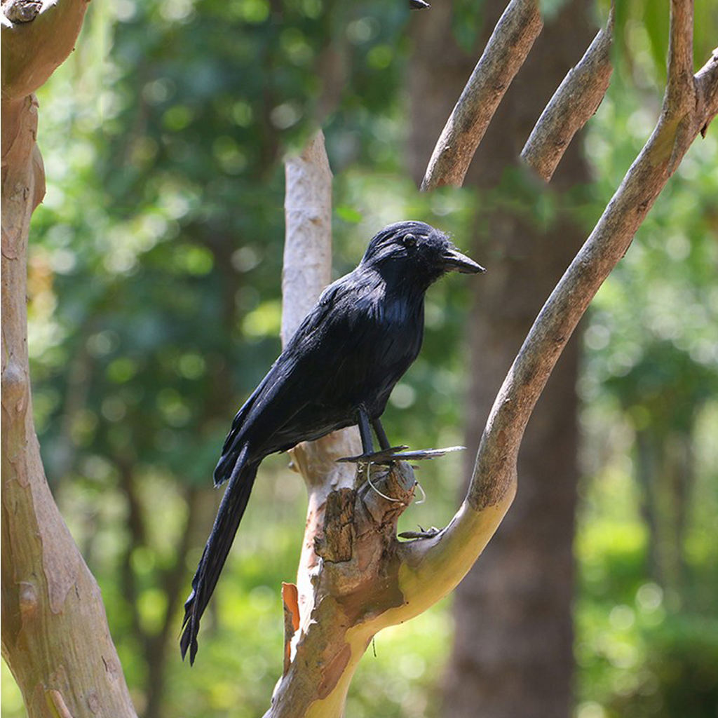 6pcs Halloween Stuffed Feather Crow Bird Black Ravens Fancy Dress Prop Decor
