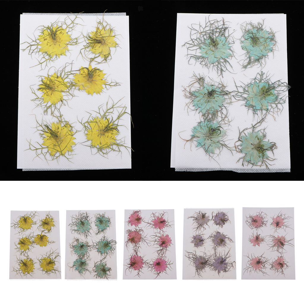 1 Set Natural Real Pressed Dried Flowers DIY Scrapbooking Card Yellow