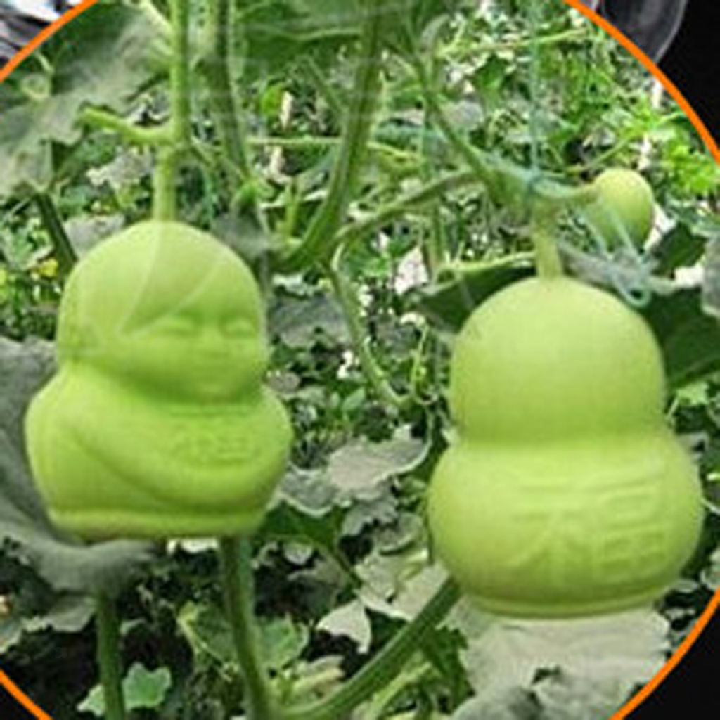 4pc Plastic  Pear Shape Mold Garden Fruits Growth Forming Mold Tools