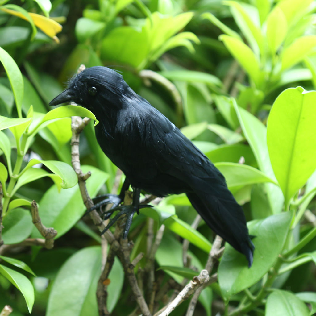 Halloween Black Crow Realistic Feather Crow Artificial Bird Raven Prop Art and