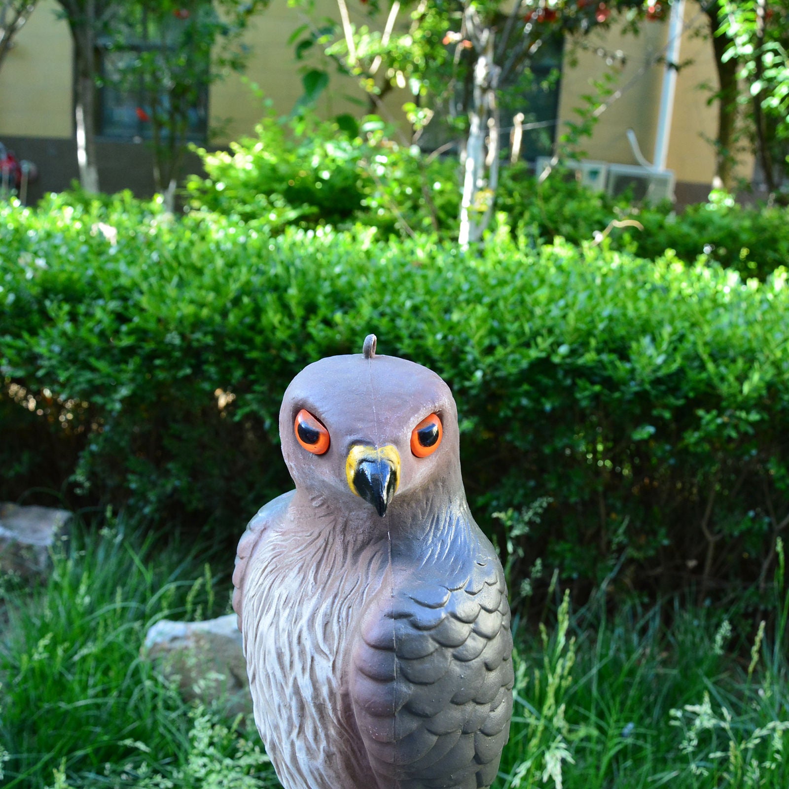 Realistic Hawk Bird Scare Repellent Decoy Statue Garden Ornamental Outdoor