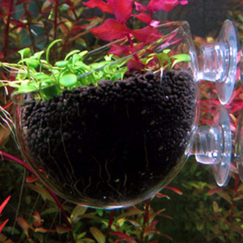 Aquatic Plants Planter Aquarium Water Aquarium 6x7cm For Tank Planted Tanks