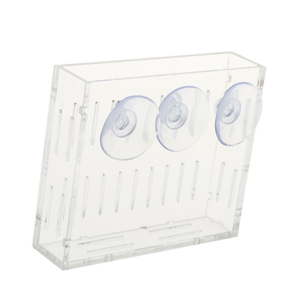 Acrylic Wall Hanging Vase Transparent Planter Vase Aquarium Planting Cup