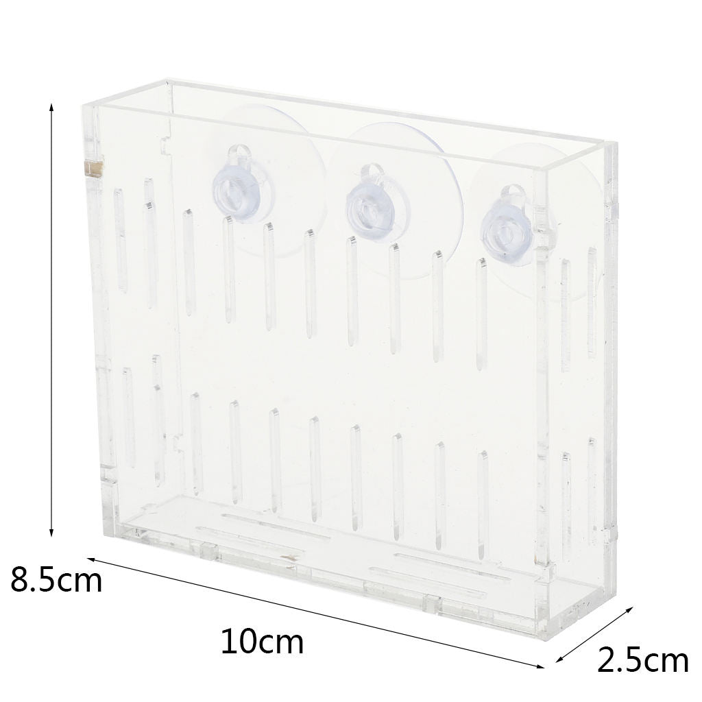 Acrylic Wall Hanging Vase Transparent Planter Vase Aquarium Planting Cup