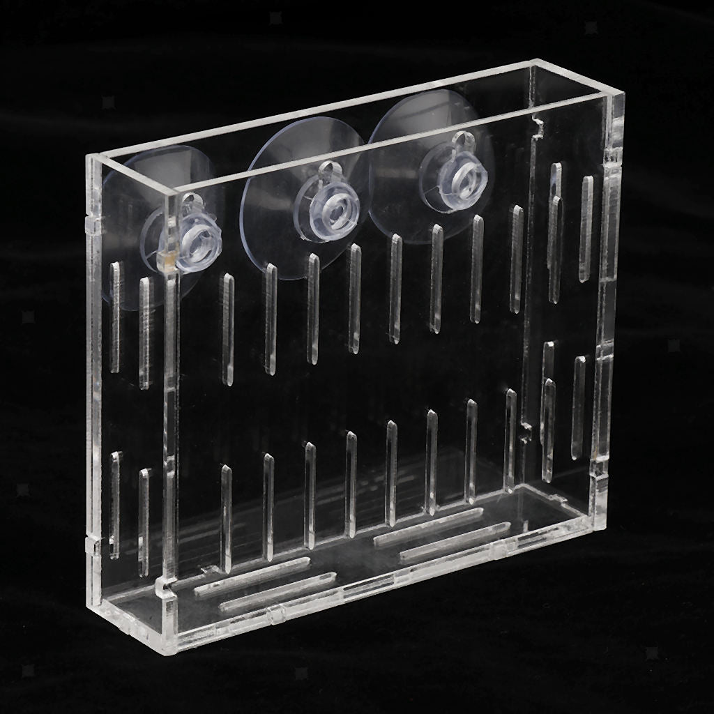 Acrylic Wall Hanging Vase Transparent Planter Vase Aquarium Planting Cup