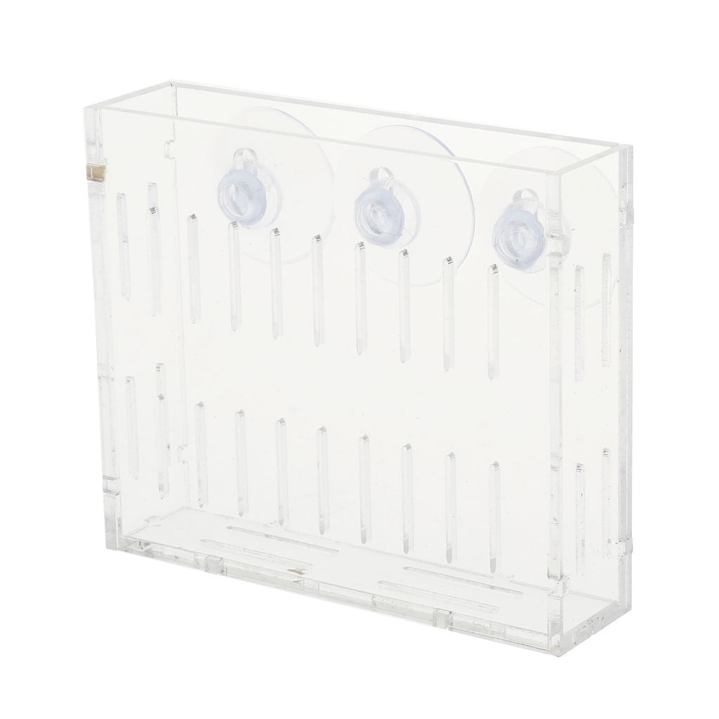 Acrylic Wall Hanging Vase Transparent Planter Vase Aquarium Planting Cup