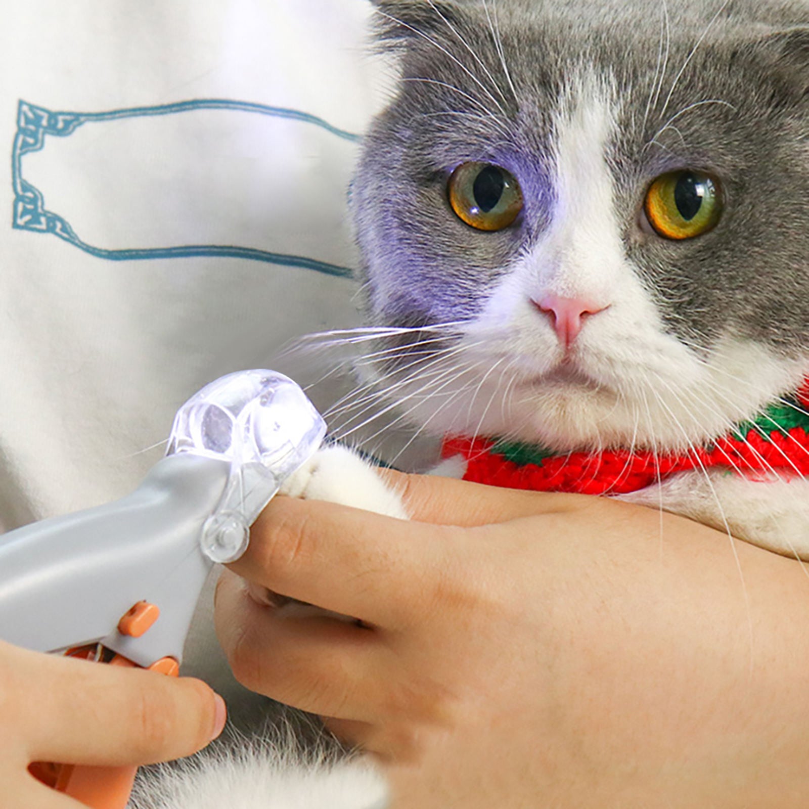 Grooming Tool Safety Pet Nail Trimmers & Clippers w/ LED Light Claw Care