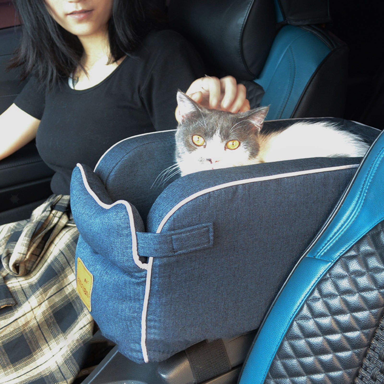 Dog Car Carrier Non-Slip Soft Pet Booster Seat Crate for SUV Van Truck Cage