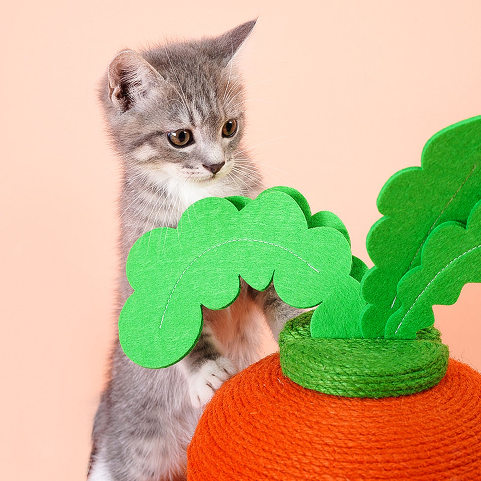 Cat Scratchers Claw Scratcher Simulate Carrot for Cat Habits Small Cats