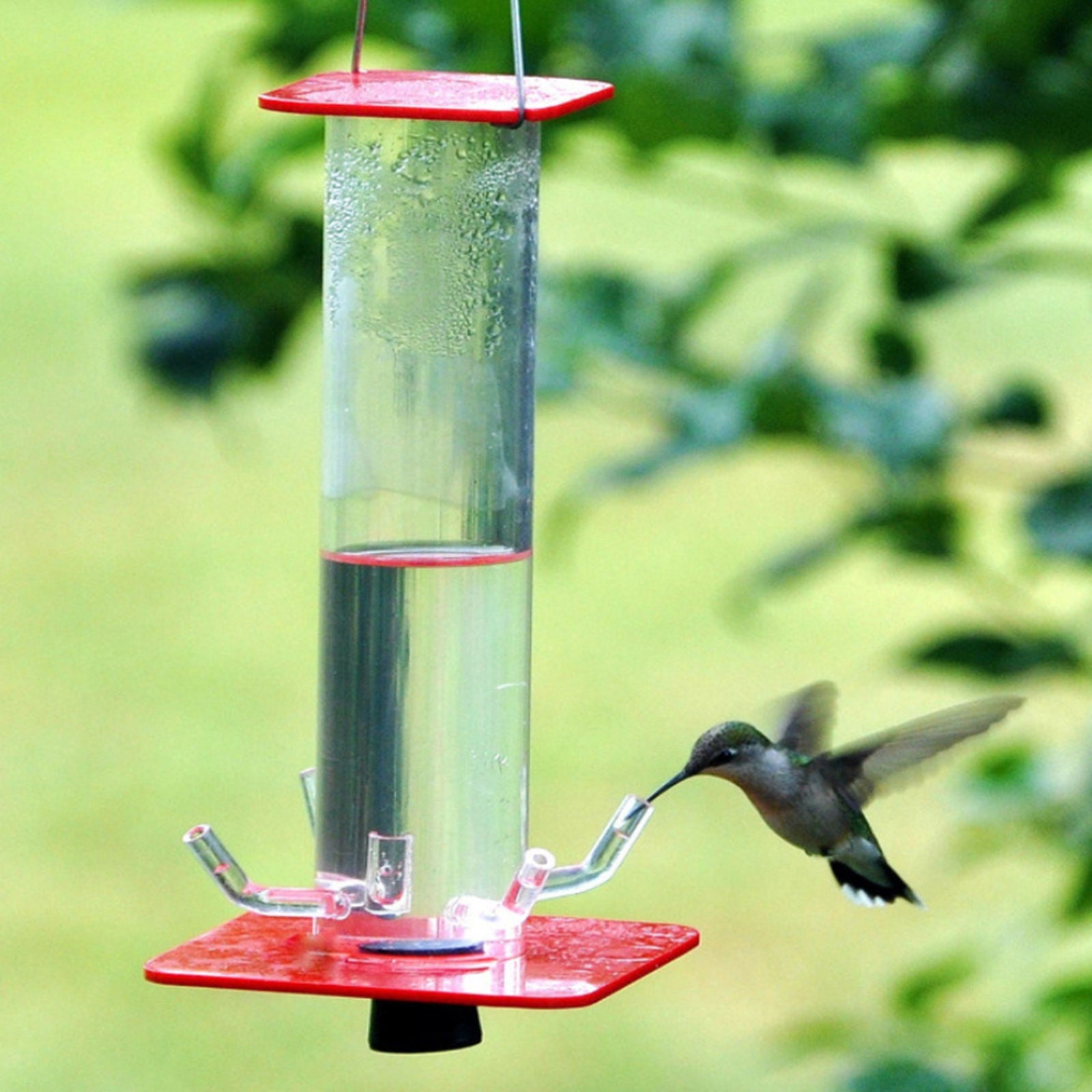 Hummingbird Feeder Hummingbird Feeding Station with Hanging Hook Garden