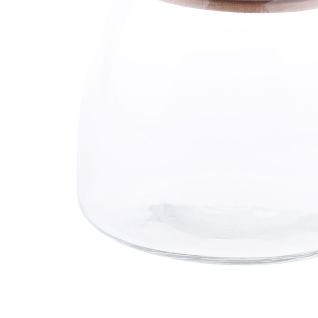 Food Storage Jar Canister with Beech Wooden Lid for Tea Coffee Spice 750ML