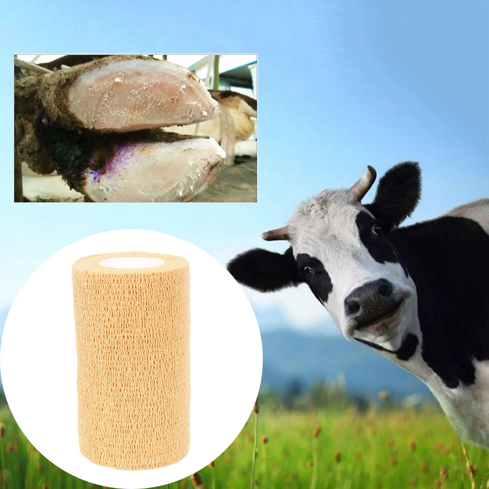 Vet Tape Non-Woven Cohesive Bandage for Pet Dogs Sheep Animals 10x450cm