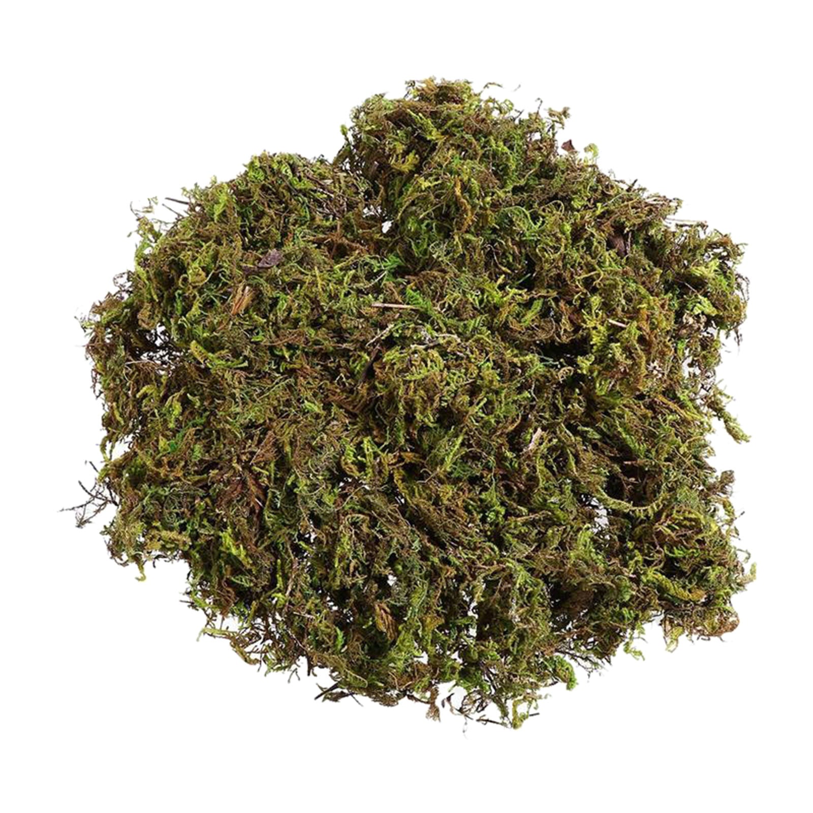 100g/bag Artificial Dry Green Moss Garden Lawn Decoration Potted Plants