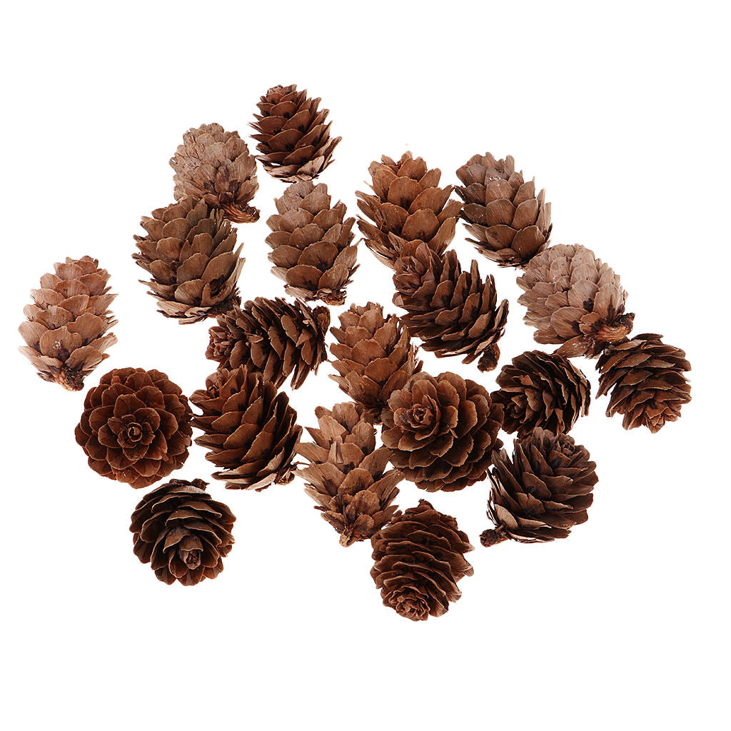 20PCS Natural Real Pine Cones Ornament Christmas Party Decoration Holiday