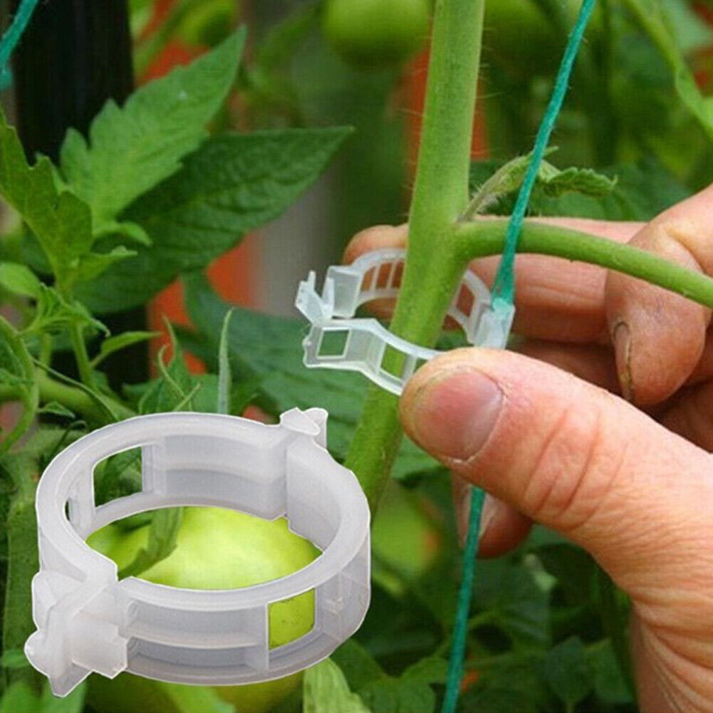 50x/bag Plastic Plant Support Clips Hanging Vine Connects Plants Protection