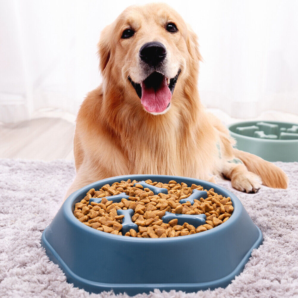 Pet Slow Eating Dish Cat Dog Anti Choking Puppy Feeder Food Bowl (Blue)