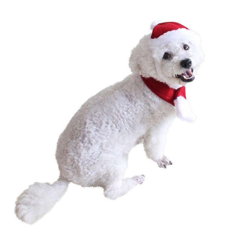 Pet Cap Hat Scarf Christmas Headwear Costume Dog Puppy Cat Supply