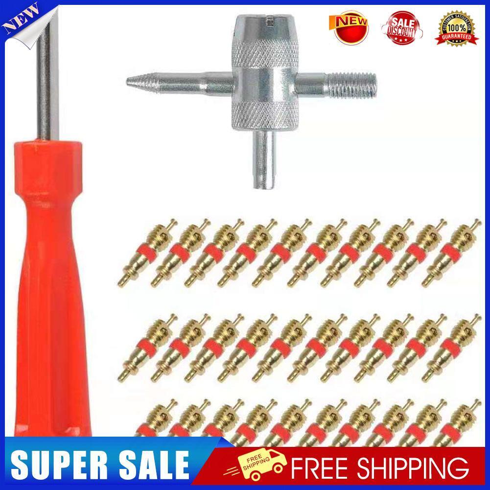 30pcs Brass Valve Cores with Car Bike Tire Valve Core Remover + 4 Way Tool