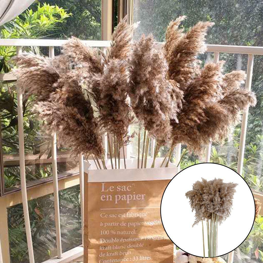 30x  Dried  Grass Reed Flower   and garden Table Decor