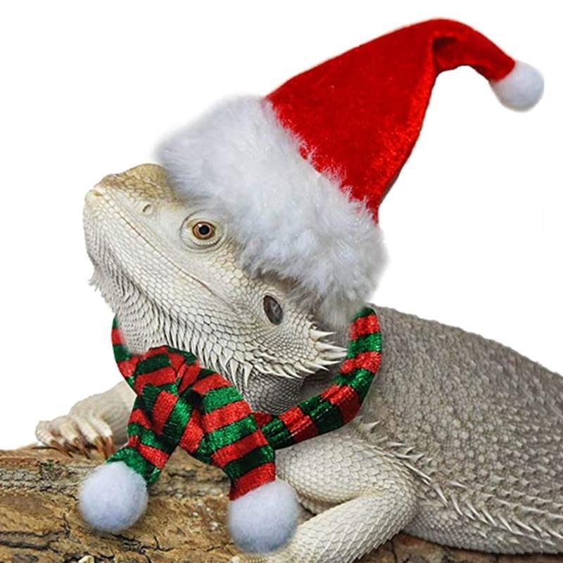 Bearded Dragon Harness Leash Set Adjustable for Small Pet Christmas Costume