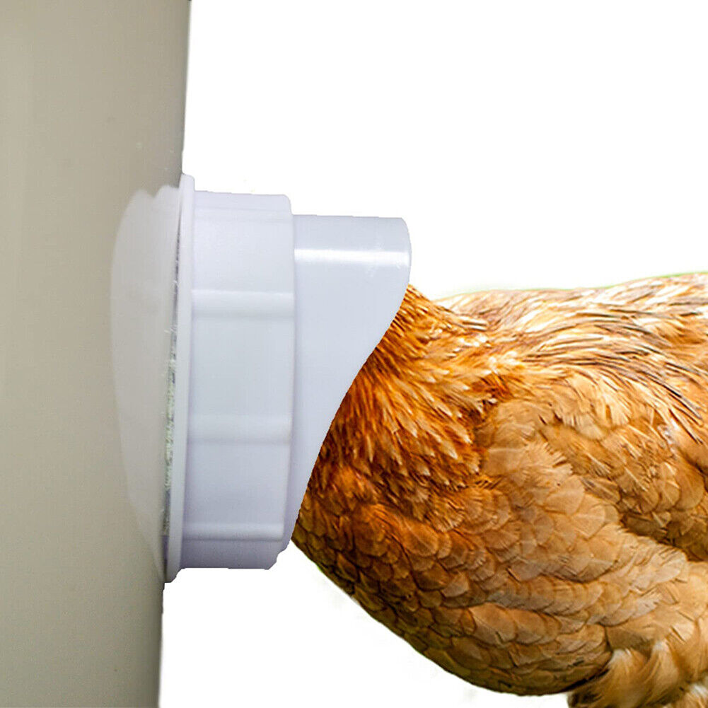 Rainproof Poultry Feeder Port DIY Chicken Duck Feeding Kit Breeding Tools