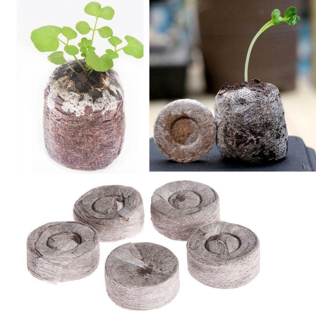 40Pcs Nursery Block Peat  Thumb Seedling  Block 31mm