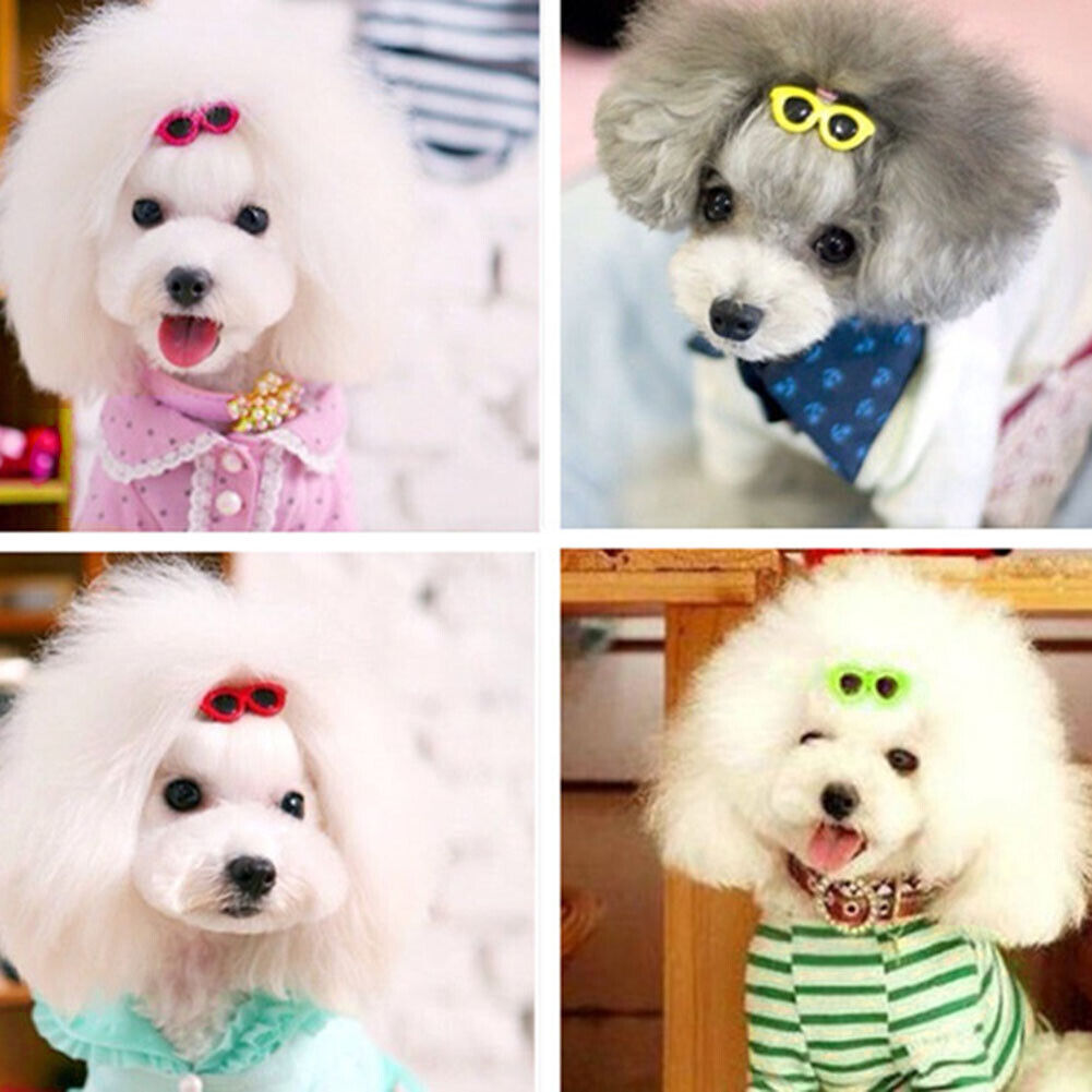 10pcs/Set Plastic Pet Sunglasses Hairpin Headdress Dog Hair Clip Pets Head