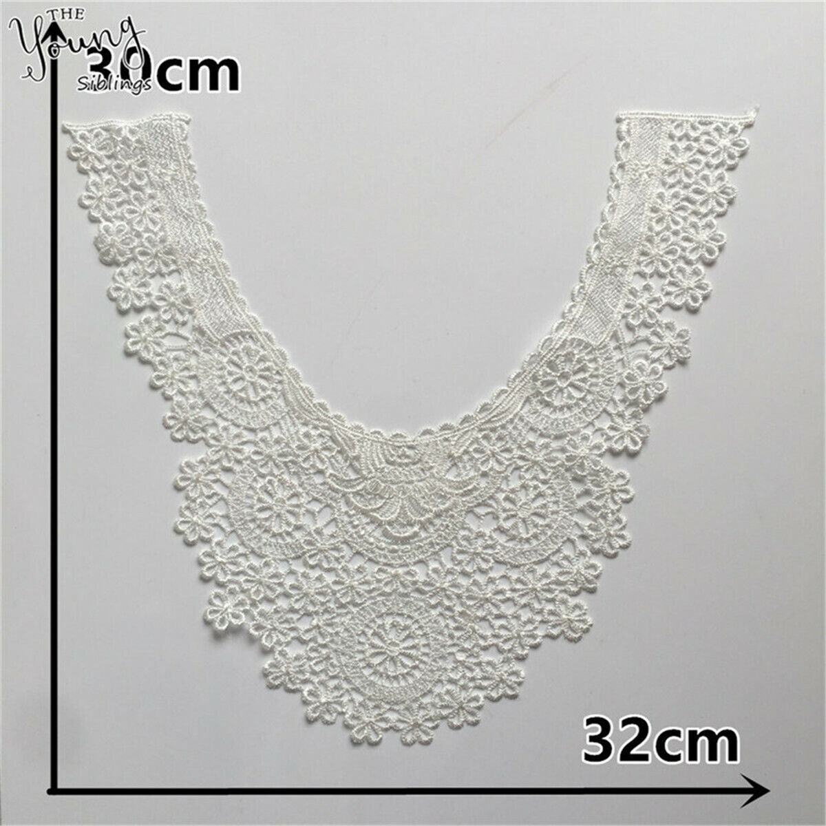 White Lace Hollow Collar Trim Embroidered Sewing Neckline Applique DIY Clothing
