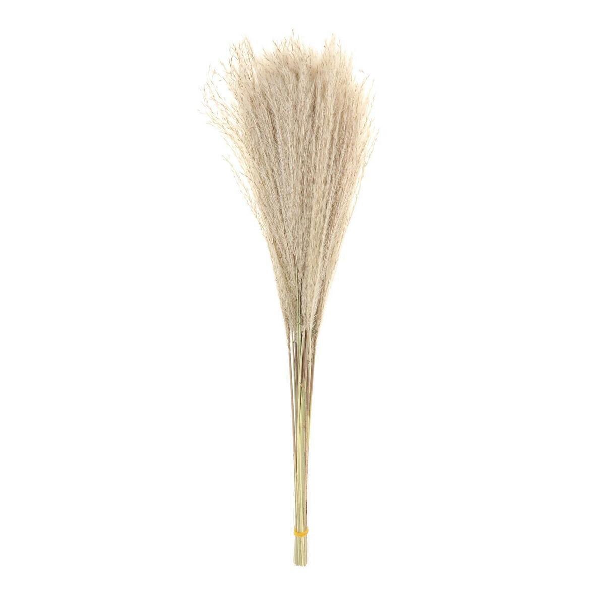 of 70 Rustic Dried  Grass Bunch  Living Room Table  Decor